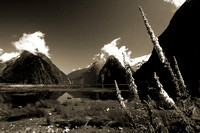 New Zealand . Milford Sound . Film based slide image . Sepia .