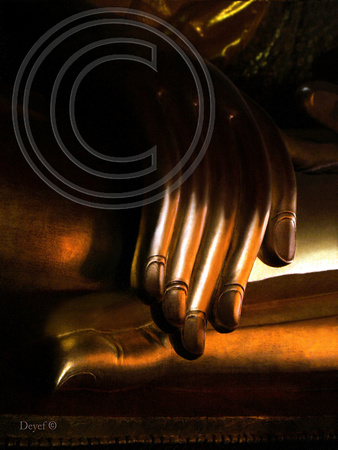 Thailand . Chiang Mai . Hand 3