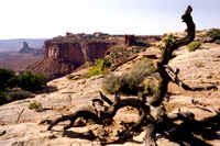 US . Canyonlands NP .